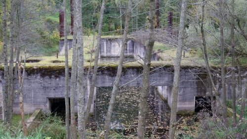 trygort-6811.jpg