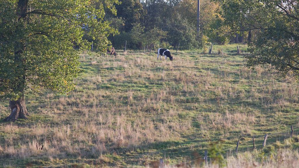 trygort-7030.jpg