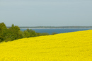 Canon EOS-1DS - 200.0 mm - 1/1250 sec at f / 5,0 - ISO 100